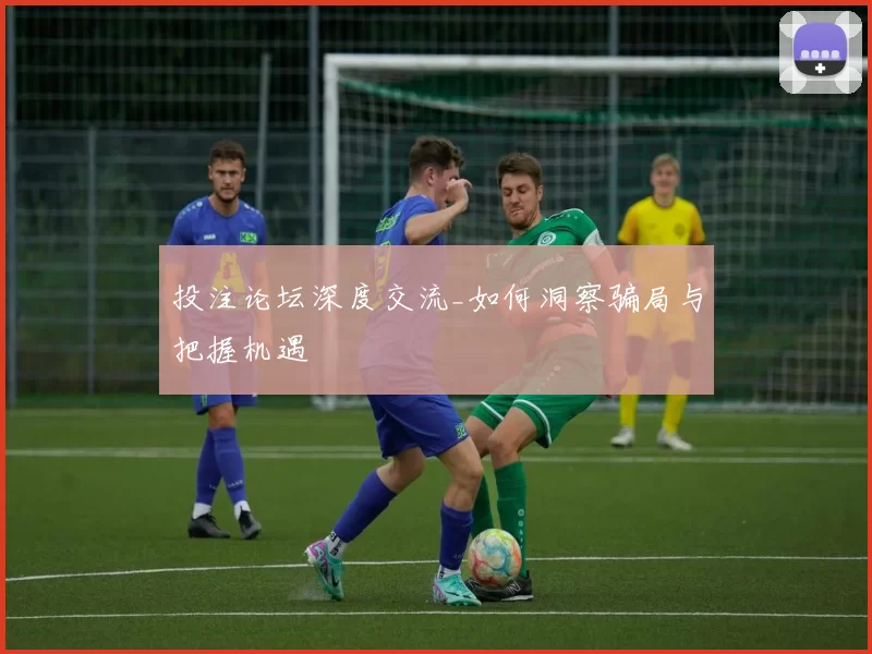 投注论坛深度交流_如何洞察骗局与把握机遇