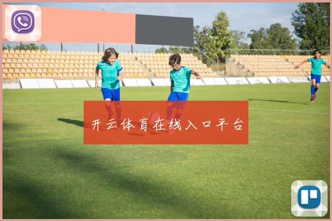开云体育在线入口平台