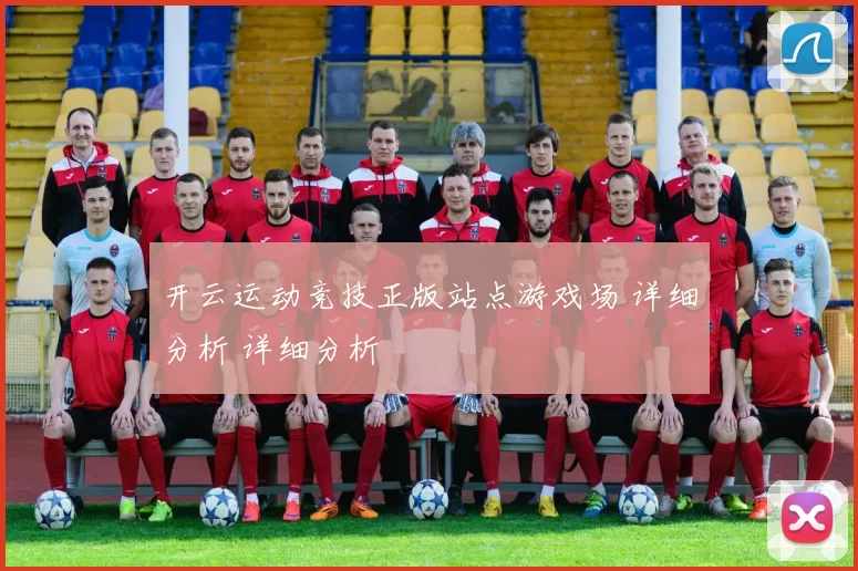 开云运动竞技正版站点游戏场 详细分析 详细分析