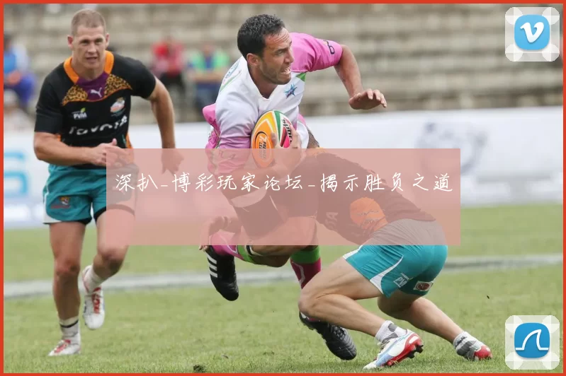 深扒_博彩玩家论坛_揭示胜负之道