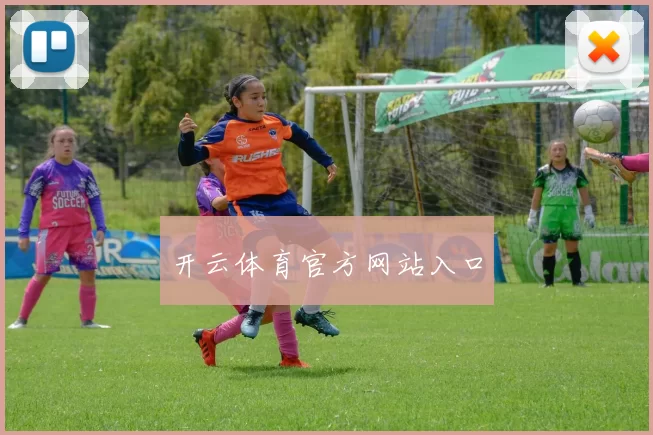 开云体育官方网站入口