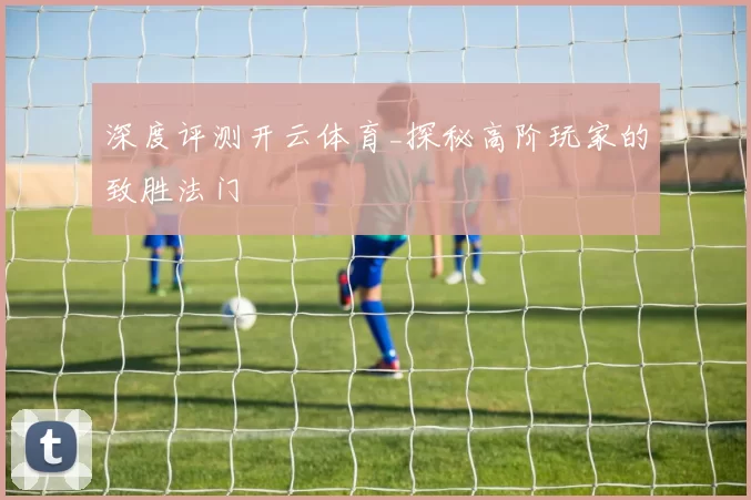 深度评测开云体育_探秘高阶玩家的致胜法门