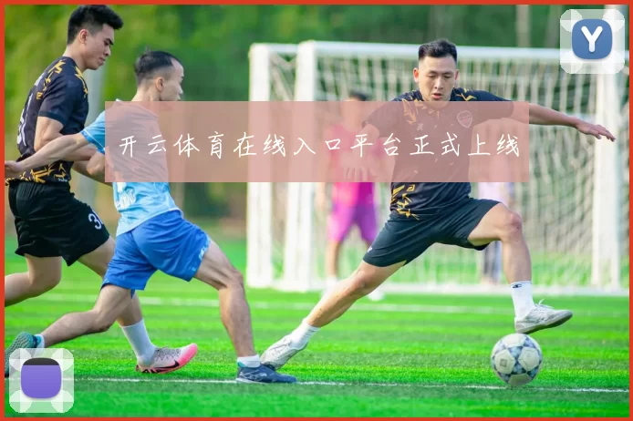 开云体育在线入口平台正式上线