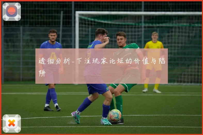 透彻分析_下注玩家论坛的价值与陷阱