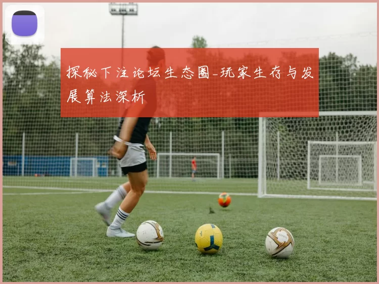 探秘下注论坛生态圈_玩家生存与发展算法深析