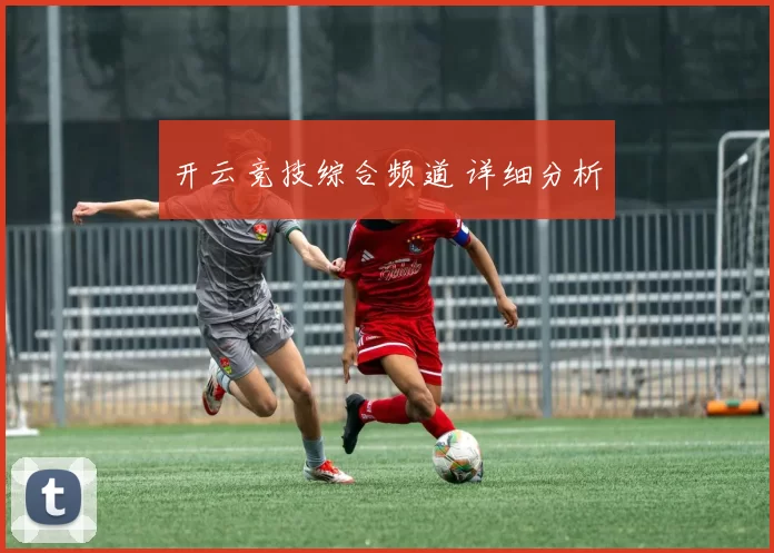 开云竞技综合频道 详细分析