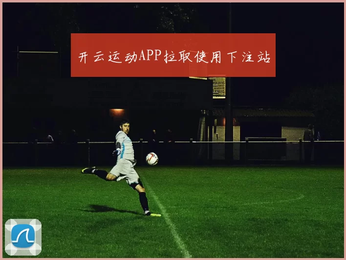 开云运动APP拉取使用下注站