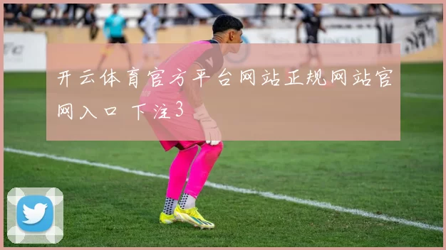 开云体育官方平台网站正规网站官网入口 下注3