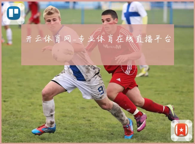 开云体育网_专业体育在线直播平台