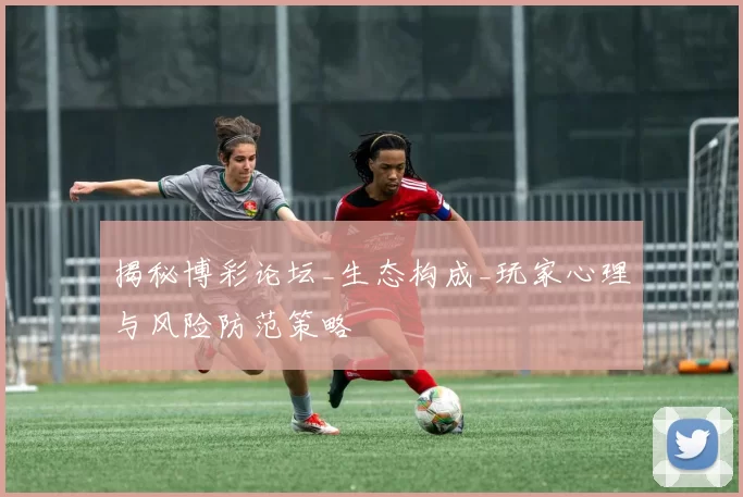 揭秘博彩论坛_生态构成_玩家心理与风险防范策略