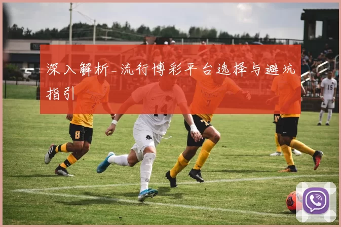 深入解析_流行博彩平台选择与避坑指引