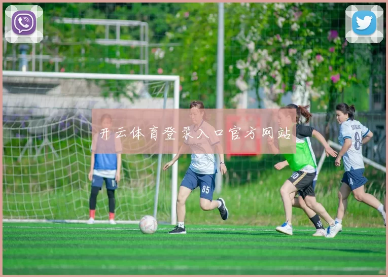 开云体育登录入口官方网站