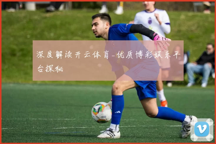 深度解读开云体育_优质博彩娱乐平台探秘