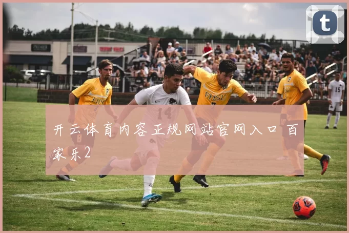 开云体育内容正规网站官网入口 百家乐2