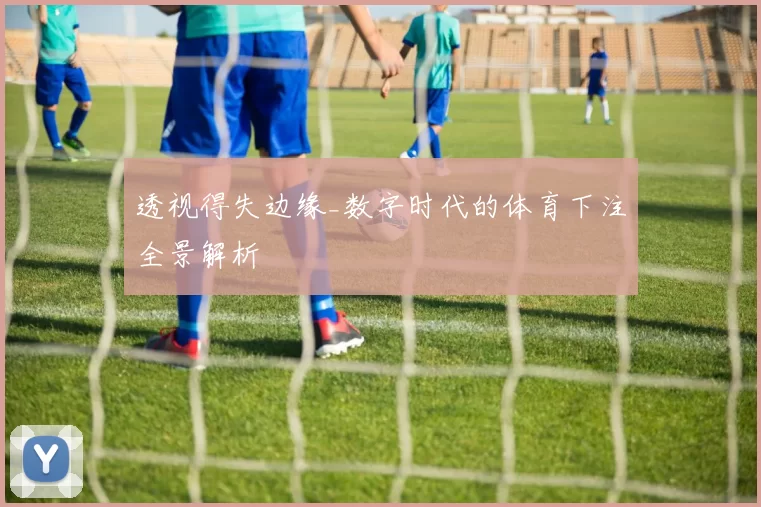 透视得失边缘_数字时代的体育下注全景解析