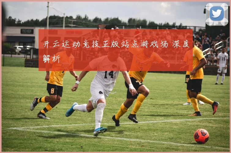 开云运动竞技正版站点游戏场 深度解析