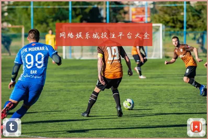 网络娱乐城投注平台大全