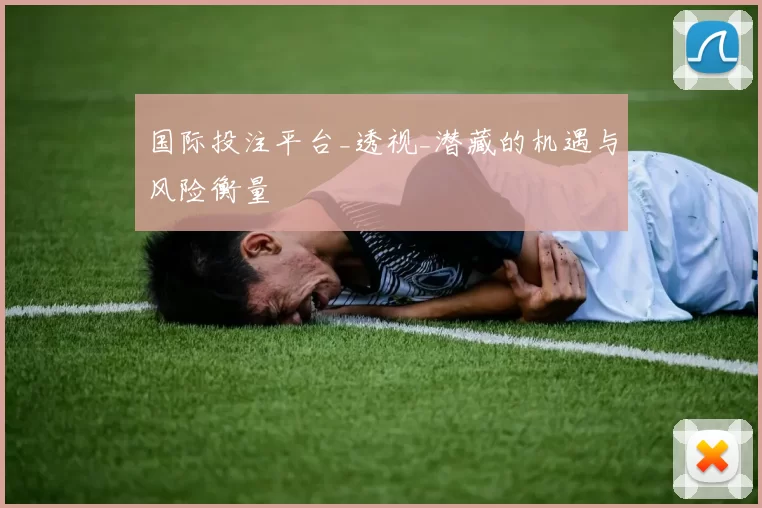 国际投注平台_透视_潜藏的机遇与风险衡量