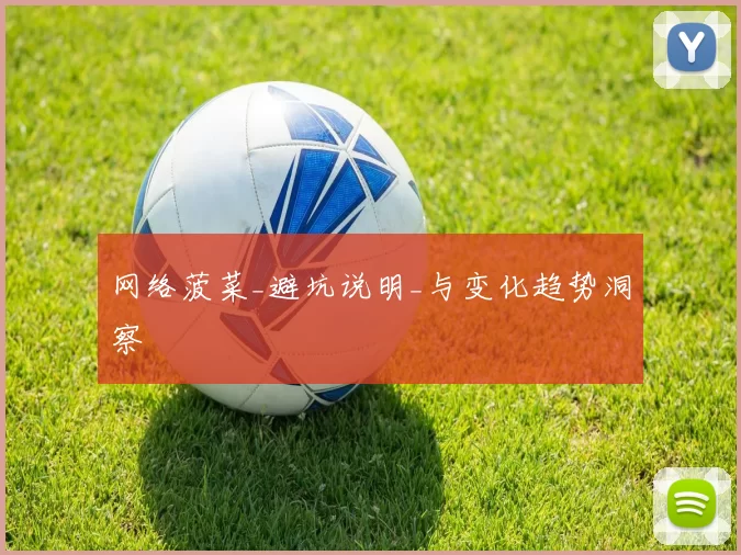 网络菠菜_避坑说明_与变化趋势洞察