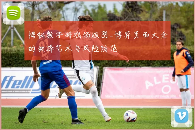 揭秘数字游戏场版图_博弈页面大全的抉择艺术与风险防范