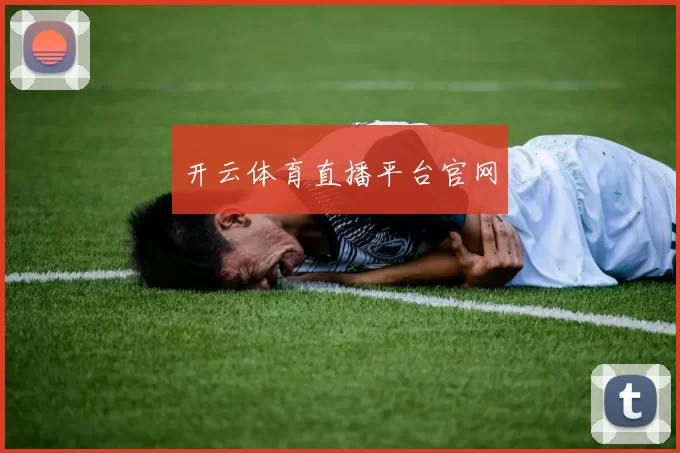 开云体育直播平台官网